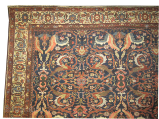 
Sultanabad Mahal Persian, knotted circa 1885 antique, collectors item, 293 x 358 cm, ID: P-1335
Vegetable dyes, the knots are hand spun lamb wool, the black knots are oxidized, high pile, in perfect  ...