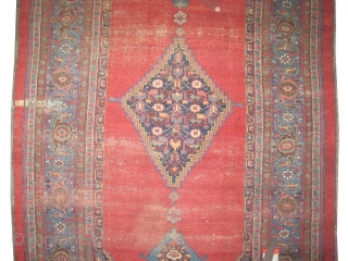 
Bidjar Halvai Persian circa 1870 antique. Collector's item. Size: 360 x 186 (cm) 11' 10" x 6' 1"  carpet ID: P-4619 
Vegetable dyes, the black color is oxidized, the warp and  ...