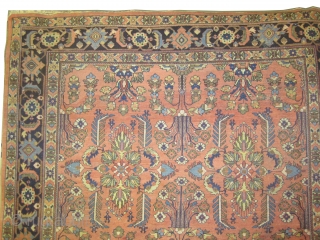 
Ziegler Mahal Persian circa 1895. Antique, Size: 378 x 274 (cm) 12' 5" x 9'   carpet ID: P-1036
vegetable dyes, the black color is oxidized, the knots are hand spun wool,  ...