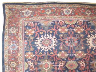 
Ziegler-Mahal Persian circa 1905 antique.  Size: 370 x 260 (cm) 12' 2" x 8' 6"  carpet ID: P-3836 
vegetable dyes, acceptable condition, the knots are hand spun lamb wool, all  ...