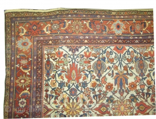 
Ziegler-Mahal Persian circa 1905. Antique. Size: 390 x 270 (cm) 12' 9" x 8' 10"  carpet ID: P-5201 
vegetable dyes, the black color is oxidized, the knots are hand spun wool,  ...