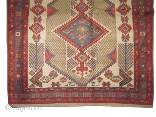 Serap Persian dated 1343 = 1924.  Size: 297 x 172 (cm) 9' 9" x 5' 8"  carpet ID: P-5869 
High pile, perfect condition, vegetable dyes, the warp and the weft  ...