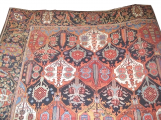 Baktiar Persian circa 1895 antique.  Size: 392 x 313 (cm) 12' 10" x 10' 3"  carpet ID: P-6111 
vegetable dyes, the black wool is oxidized, the knots are hand spun  ...
