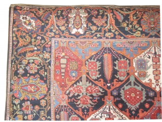 Baktiar Persian circa 1895 antique.  Size: 392 x 313 (cm) 12' 10" x 10' 3"  carpet ID: P-6111 
vegetable dyes, the black wool is oxidized, the knots are hand spun  ...