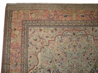 Kashan Persian circa 1890 antique. Size: 334 x 202 (cm) 10' 11" x 6' 7"  carpet ID: P-5525 
the black color is oxidized, the knots are hand spun wool, the background  ...