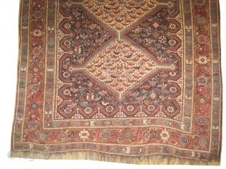 	

Shiraz Khamse Persian, circa 1890 antique. Collector's item. Size: 237 x 162 (cm) 7' 9" x 5' 4"  carpet ID: K-804
Vegetable dyes, the knots are hand spun lamb wool, the black  ...