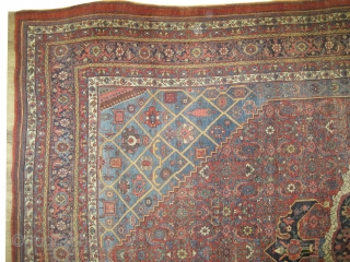 

Bidjar Halvai Persian, antique, Collector's item, 452 x 288 (cm) 14' 10" x 9' 5"  carpet ID: P-4674
The warp and the weft threads are 100% wool, the knots are hand spun  ...