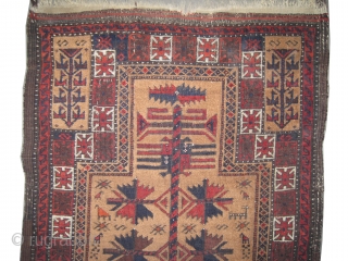 	
 Belutch prayer Persian circa 1895 antique. Collector's item, Size: 150 x 74 (cm) 4' 11" x 2' 5"  carpet ID: K-4271
vegetable dyes, the black color is oxidized, the knots are  ...