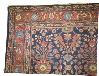  
Ziegler Mahal Persian circa 1910 antique, Size: 343 x 257 (cm) 11' 3" x 8' 5"  carpet ID: P-4773
All over design, vegetable dyes, high pile, the knots are hand spun  ...