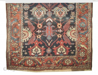 
 Baktiar Louri Persian circa 1905 antique, collector's item, Size: 212 x 137 (cm) 6' 11" x 4' 6"  carpet ID: K-4358
vegetable dyes, the black color is oxidized, the warp and  ...