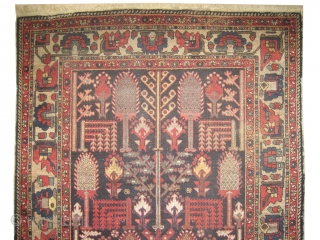 Baktiar Persian circa 1895 antique.  Size: 205 x 136 (cm) 6' 9" x 4' 6"  carpet ID: K-4397
Vegetable dyes, the black color is oxidized, the knots are hand spun lamb  ...