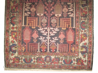Baktiar Persian circa 1895 antique.  Size: 205 x 136 (cm) 6' 9" x 4' 6"  carpet ID: K-4397
Vegetable dyes, the black color is oxidized, the knots are hand spun lamb  ...