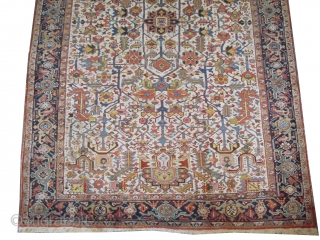 


Bakshaish Heriz Persian knotted circa in 1920 antique, collector's item, 346 x 240 (cm) 11' 4" x 7' 10"  carpet ID: P-2740
The black knots are oxidized, the knots are hand spun  ...