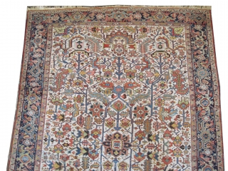 


Bakshaish Heriz Persian knotted circa in 1920 antique, collector's item, 346 x 240 (cm) 11' 4" x 7' 10"  carpet ID: P-2740
The black knots are oxidized, the knots are hand spun  ...