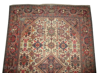 

Mahal Persian knotted circa in 1918 antique, 320 x 227 cm,  carpet ID: P-5340
The black knots are oxidized, the knots are hand spun wool, up edge is finished with a tiny  ...