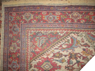 Mahal Persian knotted circa in 1916 antique, 293 x 202 cm 
 carpet ID: P-5996
The black knots are oxidized, the knots are hand spun wool, the background color is ivory. The center  ...
