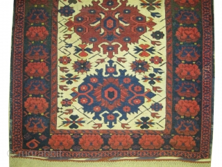 


Sejshour Caucasian, knotted circa 1900, antique, collectors item, 106 x 140 cm , ID: RS-411
The black and the brown knots are oxidized, the knots are hand spun wool, the warp and the  ...