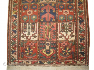
Baktiar Persian circa 1915 antique, collector's item, Size: 210 x 134 (cm) 6' 11" x 4' 5"  carpet ID: BRD-8
vegetable dyes, the black color is oxidized, the knots are hand spun  ...