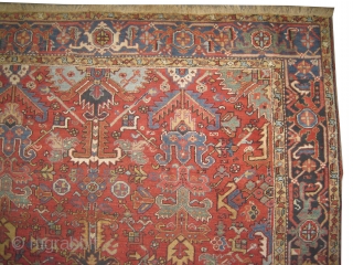  Heriz Persian circa 1905 antique. Collector's item, Size: 309 x 244 (cm) 10' 2" x 8' 
  carpet ID: P-6086
vegetable dyes, the black color is oxidized, the knots are hand  ...