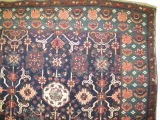 
Kouba Caucasian knotted circa in 1885 antique. Collector's item,  542 x 196 (cm) 17' 9" x 6' 5"  carpet ID: P-5879
The center design is typical Kouba Karagashli, the black color  ...