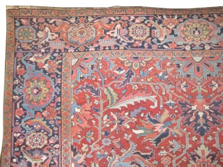 	

Heriz Persian circa 1905 antique.  Size: 385 x 310 (cm) 12' 7" x 10' 2"  carpet ID: P-6069
vegetable dyes, the black color is oxidized, the knots are hand spun lamb  ...