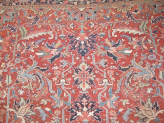 	

Heriz Persian circa 1905 antique.  Size: 385 x 310 (cm) 12' 7" x 10' 2"  carpet ID: P-6069
vegetable dyes, the black color is oxidized, the knots are hand spun lamb  ...