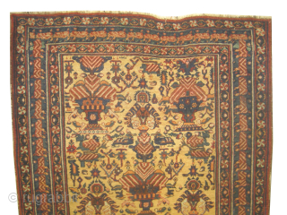 
Afshar Persian, knotted circa 1915 antique, collectors item, 138 x 175 cm, ID: DD-35
Vegetable dyes. The knots, the warp and the weft threads are hand spun wool. The black color knots are  ...
