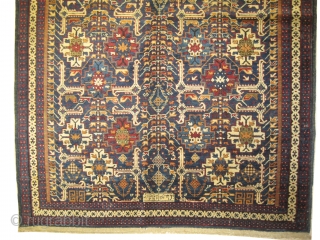  Kuba Caucasian dated 1321 = 1903 antique. Collector's item. Size: 260 x 132 (cm) 8' 6" x 4' 4"  carpet ID: V-21
 Perfect condition, thick pile, the black color is  ...