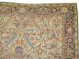 Heriz Persian circa 1915 antique. Size: 334 x 258 (cm) 10' 11" x 8' 6"  Carpet ID: P-5240
Vegetable dyes, all over design, the background color is ivory, the surrounded large border  ...