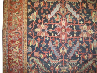  	

Heriz Persian circa 1905 antique. Collector's item, Size: 300 x 198 (cm) 9' 10" x 6' 6" 
 carpet ID: P-5696
Acceptable condition, fine knotted, vegetable dyes, the knots are hand spun  ...