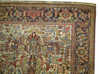 

Bakshaish Heriz Persian knotted circa 1910 antique, collectors item, 228 x 283 cm, Carpet ID: P-4611
The black knots are oxidized, the knots are hand spun lamb wool, allover geometric and beetle design,  ...