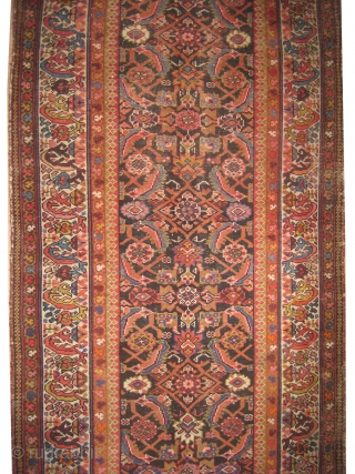 

Malaier Persian knotted circa in 1900 antique,  300 x 107 (cm) 9' 10" x 3' 6"  carpet ID: K-2703
The black knots are oxidized, the knots are hand spun wool, the  ...