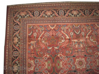 	

Ziegler-Mahal Persian knotted circa in 1905 antique, 577 x 330 (cm) 18' 11" x 10' 10"  carpet ID: P-413
The black knots are oxidized, high pile in good condition, the knots are  ...