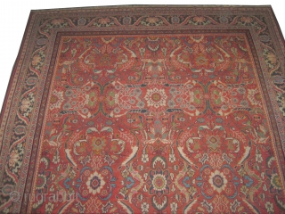 	

Ziegler-Mahal Persian knotted circa in 1905 antique, 577 x 330 (cm) 18' 11" x 10' 10"  carpet ID: P-413
The black knots are oxidized, high pile in good condition, the knots are  ...