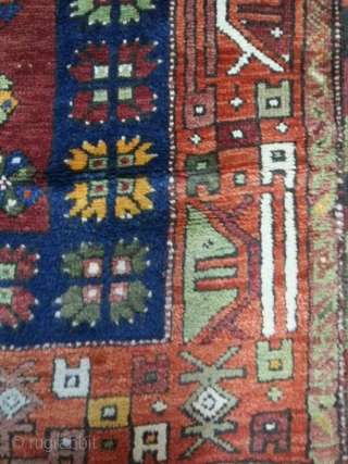 İt is from Konya Karapınar
Ask about this
Price :on request                        