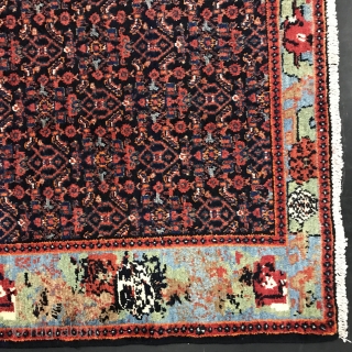 Rug#6837, 
A vintage and rare Tak-pood Seneh rug, in immaculate condition, circa 1940, 
size: 159x106 cm.
for inquiries in regards to rug info & shipping cost estimates, call me on +61412378798 or email  ...