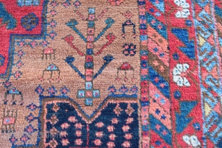 Antique Afshar rug of the type now referred to as "Outback Afshar" after the well known  article in Hali #117. The rug has all the features of this type including many  ...