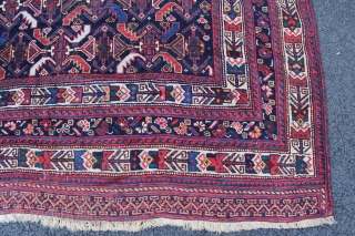 Afshar nomad main rug. 8'5" x 5'1". Late 19th century. Very rare to find this size in Afshar rugs. The design is most often seen on Afshar and Khamseh bags. Sides and  ...