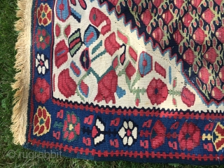 Sold Bijar kilim, c.1900 on cotton warp. 44”X58”. Has two areas of missing weft. See pictures. Good color. Inexpensive!              