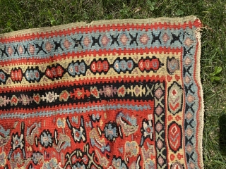 SOLD!Senneh kilim. 53” x 76.”  Very nice color and condition. The color is somewhat stronger on one side than the other. I got this from Ron Hort back in the day.  ...