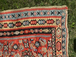 SOLD!Senneh kilim. 53” x 76.”  Very nice color and condition. The color is somewhat stronger on one side than the other. I got this from Ron Hort back in the day.  ...