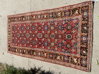 Mina Khani Bijar: c.1900 or before. Wool warp, with a couple inches of cotton warp! Great natural dyes and very good low pile condition. No serious wear or exposed warp. No repair  ...