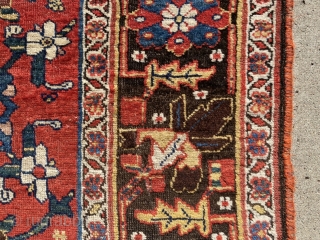 Mina Khani Bijar: c.1900 or before. Wool warp, with a couple inches of cotton warp! Great natural dyes and very good low pile condition. No serious wear or exposed warp. No repair  ...