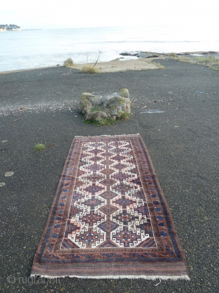 White ground baluch rug at the old Hover Port Pegwell Bay                      