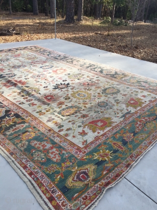 Early, antique Ziegler Sultanabad. 18' 6" X 11' 6" 
Areas of low pile, otherwise intact and bright. More photos and price on request. Can be shown in California or Nevada.   