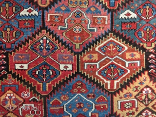 Kurd Sauj Bulagh Main Rug, 3rd quarter of 19th century, 145X290cm. With beautiful early color palette and in ready for use condition!
           