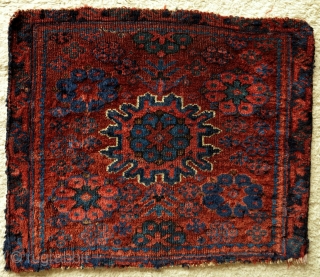 Mystery Persian? Tribal Bagface, 19th century, 50x43cm, silky wool with nice patina, great colors of rare palette, very fine weave, beautiful old looking back, collectors treasure!!!       