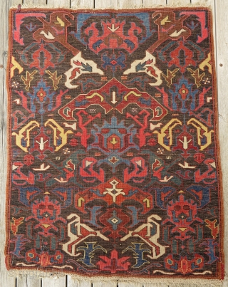 Lovely antique, small and fine Caucasian Bijov Rug in original condition and good dyes!
83X106cm.                   