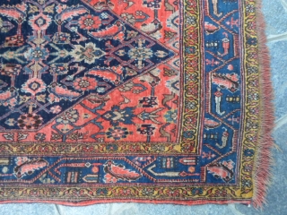 HAPPY NEW YEAR with this ANTIQUE Bijar full pile and with
all vegetable dyes. Size  161 X 103 CM.
Fine knot and shiny-brilliant fastened color for this one.
ONLY one selvedge is not in  ...