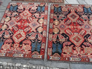 149 X 112 AND 150 X 112.
ANTIQUE PAIR OF CAUCASUS KARABAGH IN VERY, VERY GOOD CONDITION.
ALL WOOL = NO RESTORS, REPILS OR DAMAGES FOR THESE CARPETS.
OTHER INFO OR PHOTOS OF THEM ON  ...